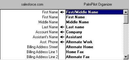 palmap1.jpg (30076 bytes)